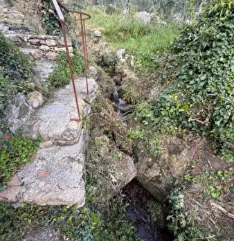 Foto annuncio 11