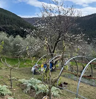 Foto annuncio 24