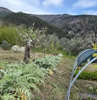 Foto annuncio 19