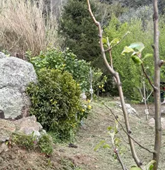 Foto annuncio 21