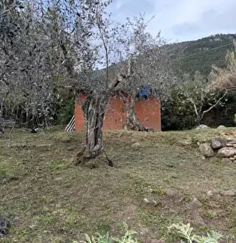 Foto annuncio 20