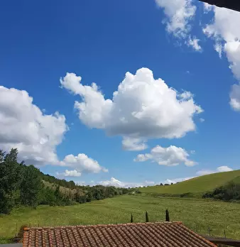 Foto annuncio 28
