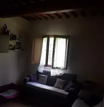 Foto annuncio 26