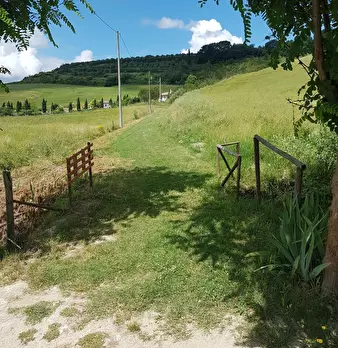 Foto annuncio 31