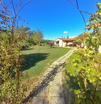 Foto annuncio 11