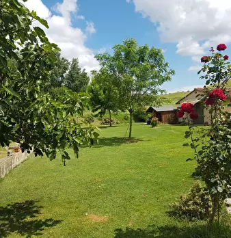 Foto annuncio 30
