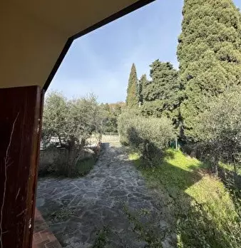 Foto annuncio 25
