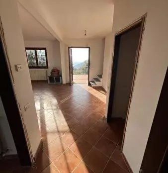 Foto annuncio 19