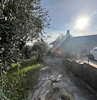 Foto annuncio 10