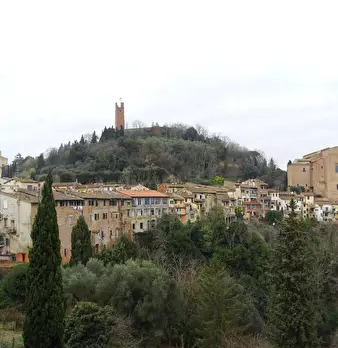 Foto annuncio 38
