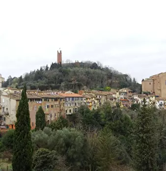 Foto annuncio 23
