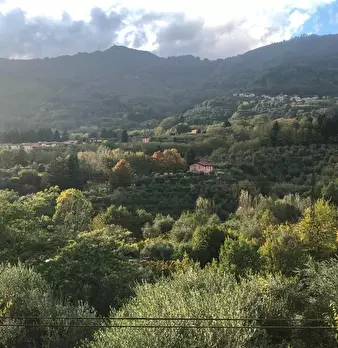 Foto annuncio 10