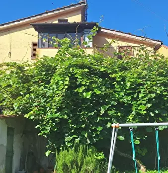 Foto annuncio 13