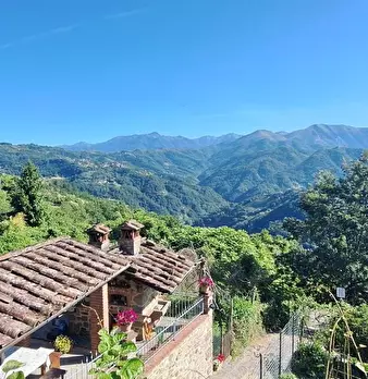 Foto annuncio 11