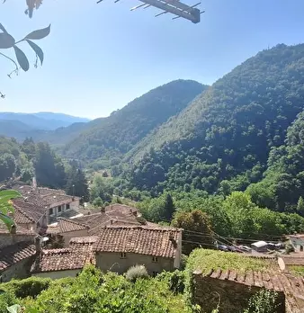 Foto annuncio 6