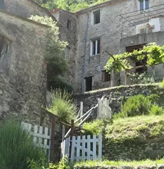 Foto annuncio 4