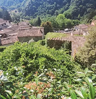 Foto annuncio 5