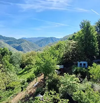 Foto annuncio 25