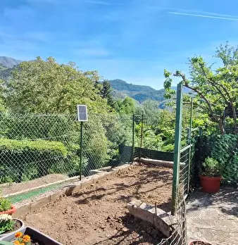 Foto annuncio 12