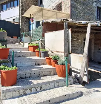 Foto annuncio 9