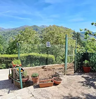 Foto annuncio 11
