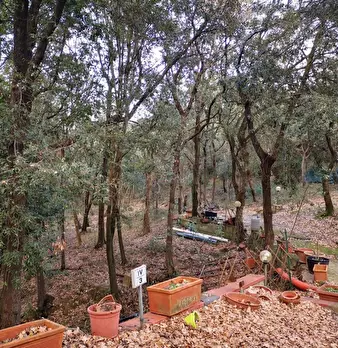 Foto annuncio 14