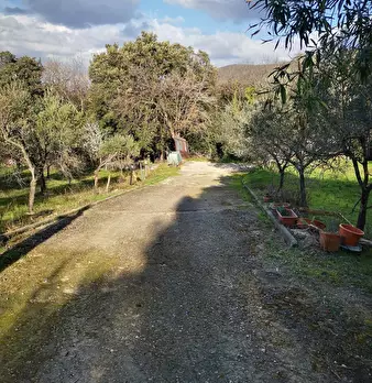 Foto annuncio 9