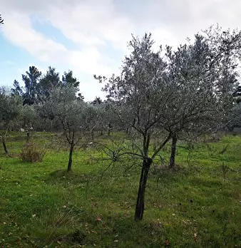 Foto annuncio 15