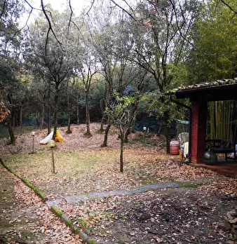 Foto annuncio 13
