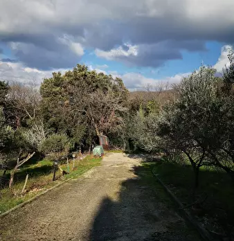 Foto annuncio 10