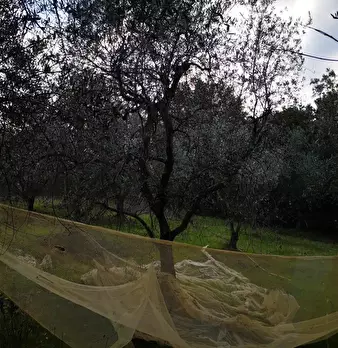Foto annuncio 16