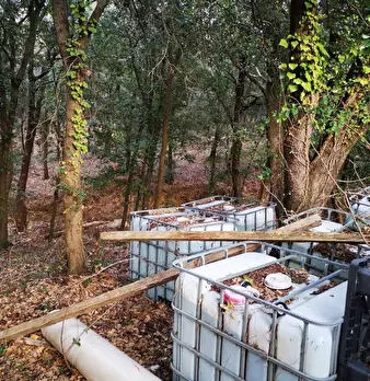 Foto annuncio 18
