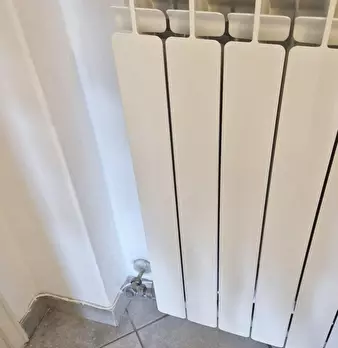 Foto annuncio 21