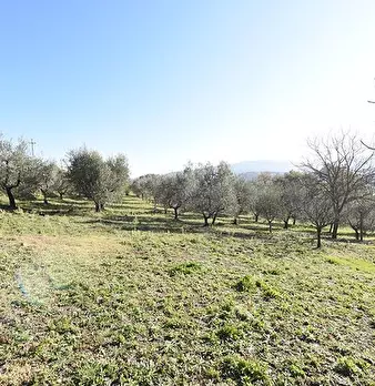 Foto annuncio 38