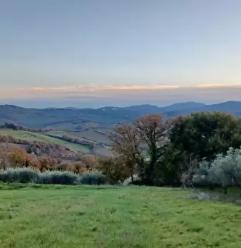 Foto annuncio 47