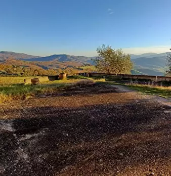 Foto annuncio 42