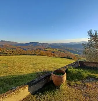 Foto annuncio 24