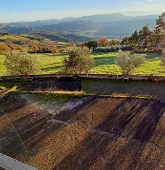 Foto annuncio 44