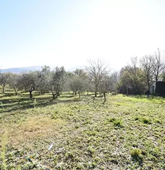 Foto annuncio 39