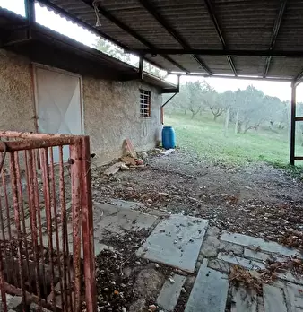 Foto annuncio 46