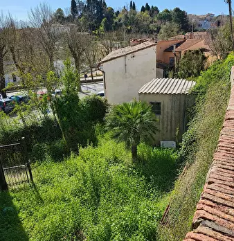 Foto annuncio 19
