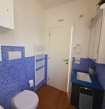 Foto annuncio 20
