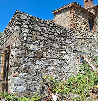 Foto annuncio 9