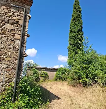 Foto annuncio 8