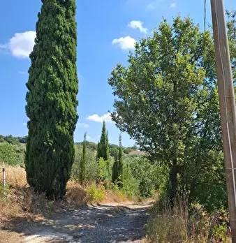Foto annuncio 10