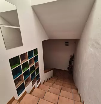 Foto annuncio 20