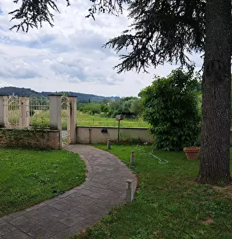 Foto annuncio 14