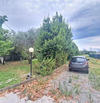 Foto annuncio 7