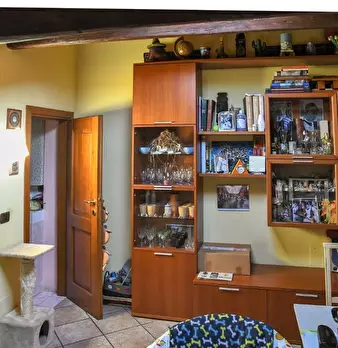 Foto annuncio 12
