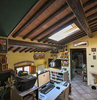 Foto annuncio 7